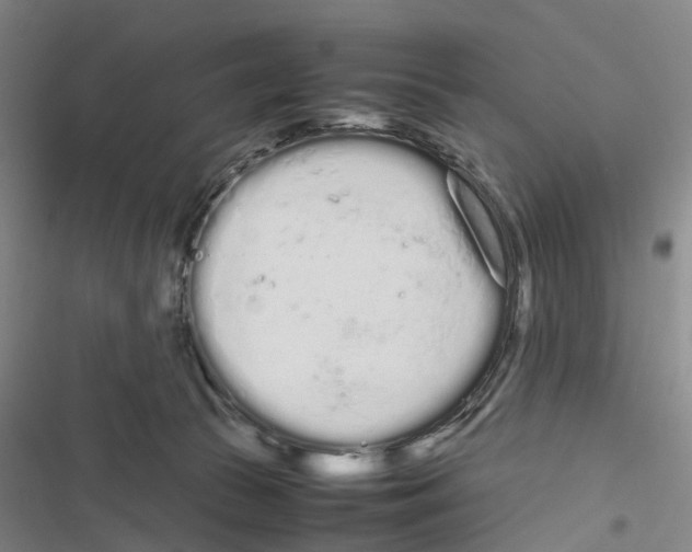 X0000116840177201001151255