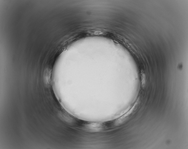 X0000116840178201001151255