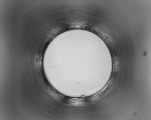 X0000116840179201001151255