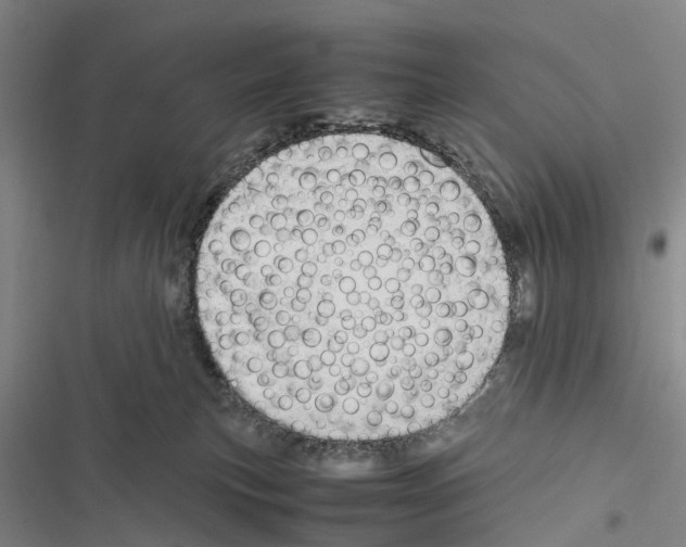 X0000116840183201001151255