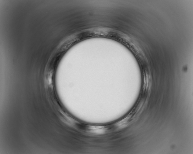 X0000116840185201001151255
