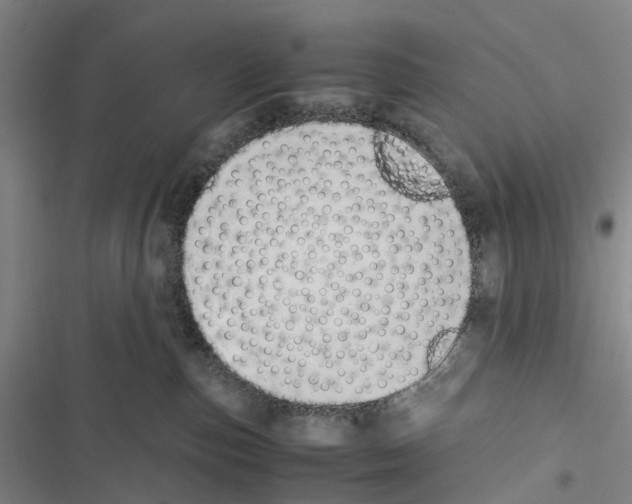 X0000116840187201001151255