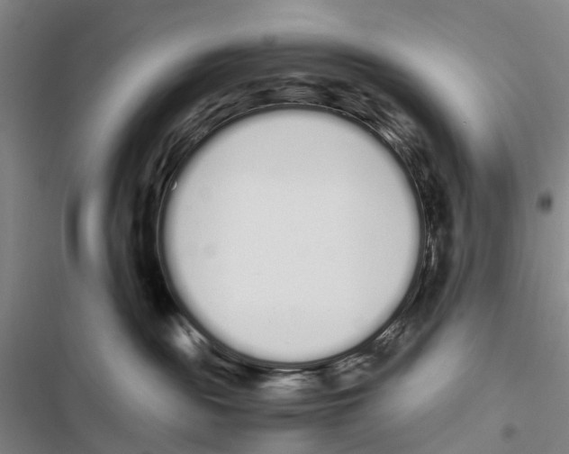 X0000116840189201001151255