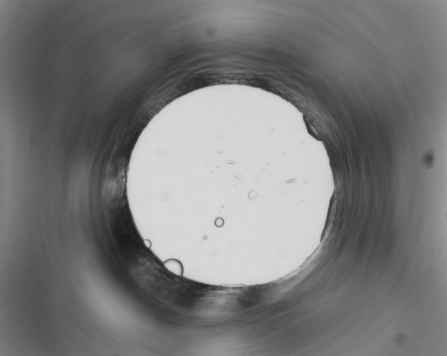 X0000116840190201001151255