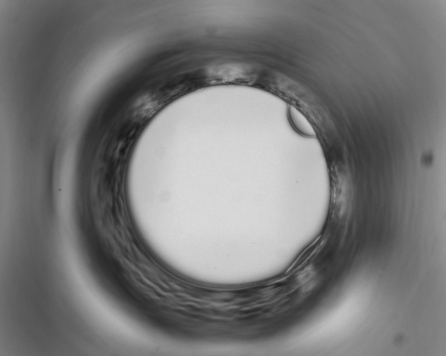 X0000116840191201001151255