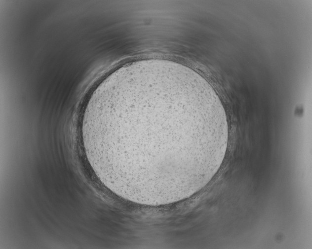 X0000116840194201001151254