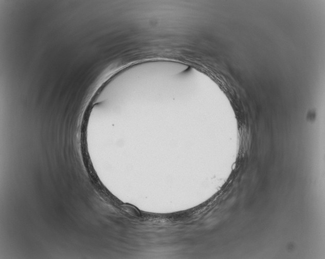 X0000116840195201001151254