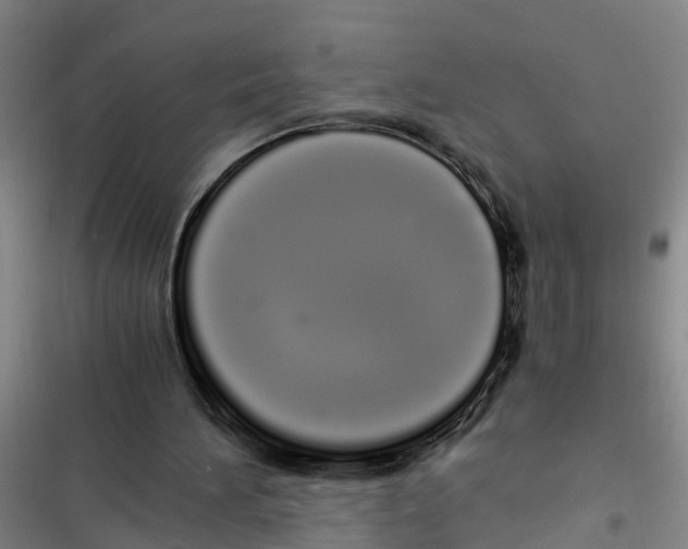 X0000116840196201001151254