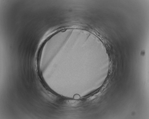 X0000116840198201001151254