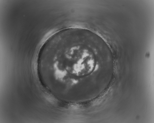 X0000116840199201001151254