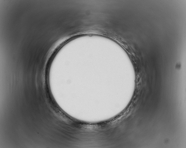 X0000116840200201001151254