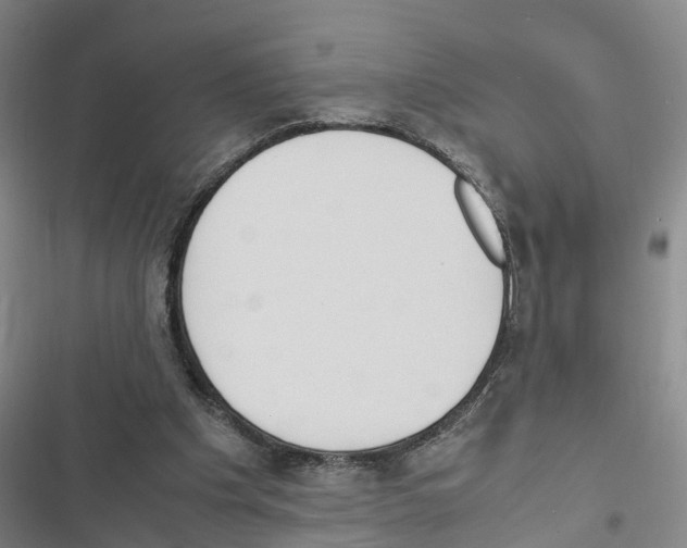 X0000116840201201001151254