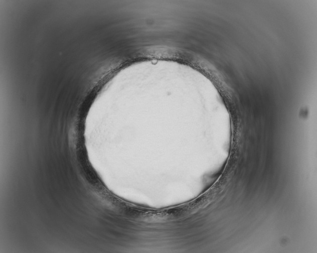 X0000116840202201001151254