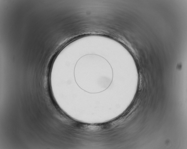 X0000116840203201001151254