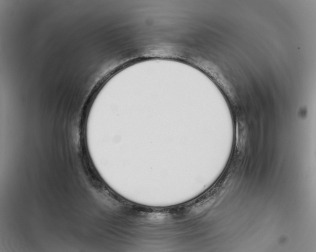 X0000116840204201001151254