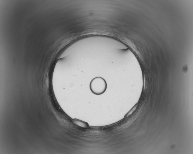 X0000116840205201001151254