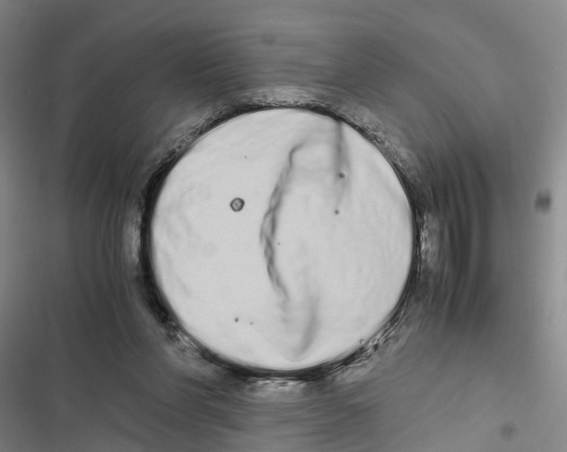X0000116840206201001151254