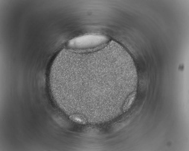 X0000116840207201001151254