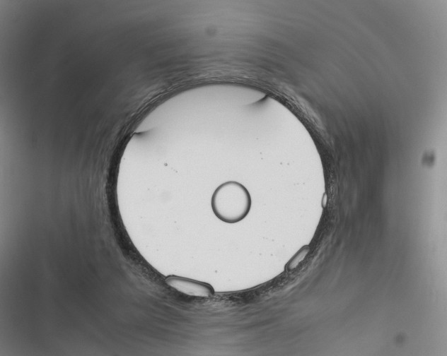 X0000116840209201001151254