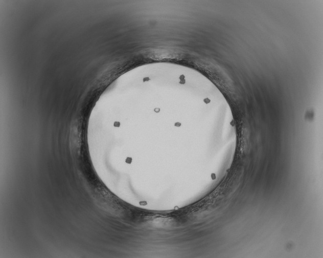 X0000116840210201001151254