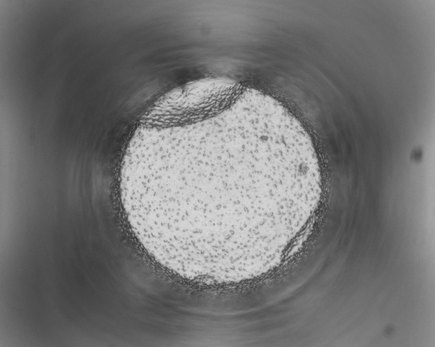 X0000116840211201001151254
