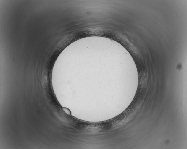 X0000116840213201001151254