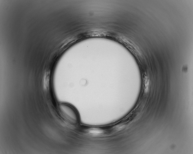 X0000116840214201001151254