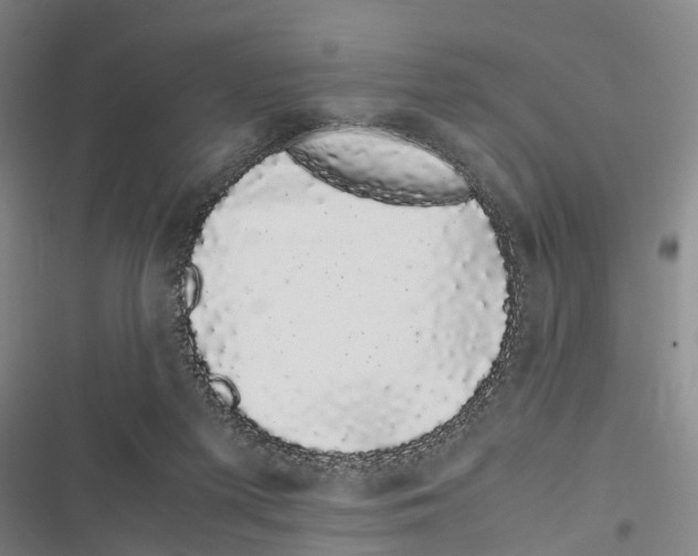 X0000116840215201001151254