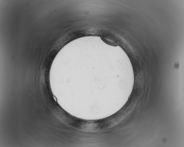 X0000116840217201001151254