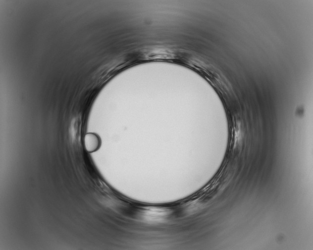 X0000116840218201001151254