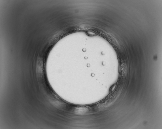 X0000116840220201001151254