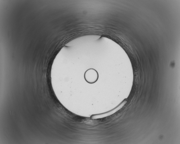X0000116840221201001151254