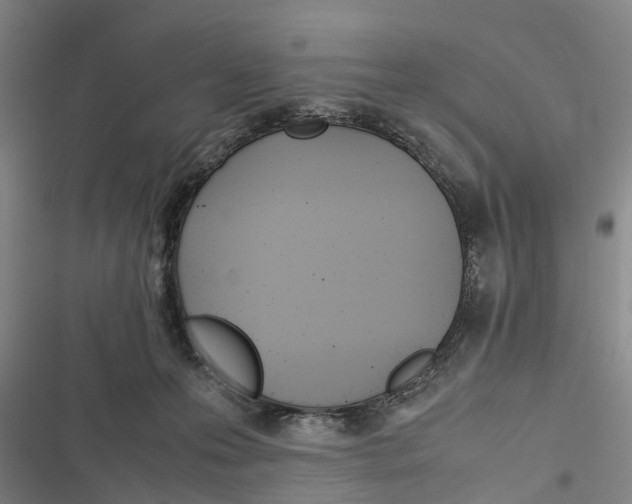 X0000116840223201001151254