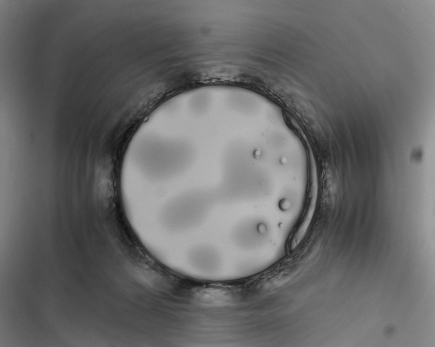 X0000116840224201001151254
