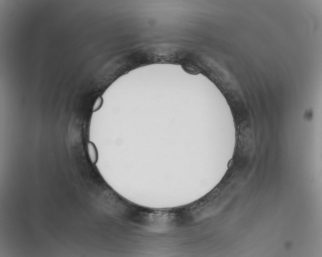 X0000116840225201001151254