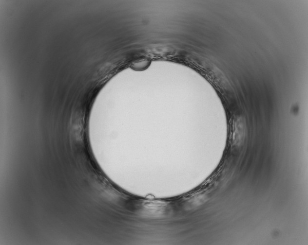 X0000116840226201001151254