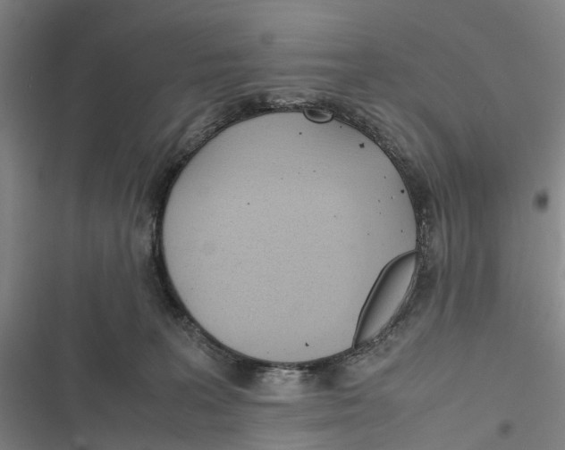 X0000116840227201001151254