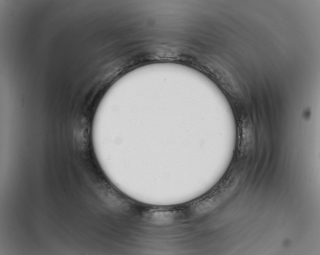 X0000116840228201001151254