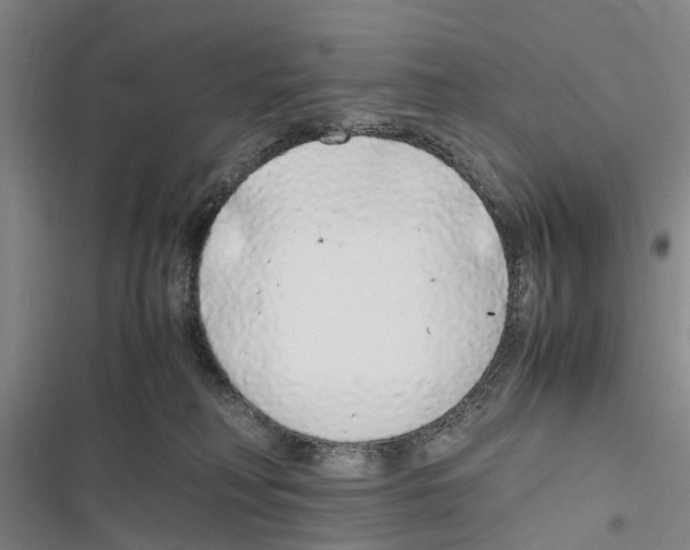 X0000116840230201001151254
