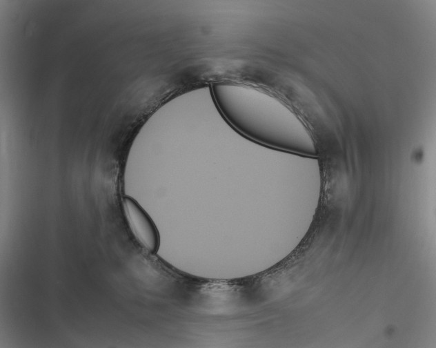 X0000116840231201001151254