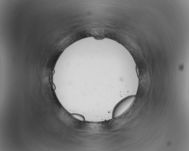 X0000116840233201001151254