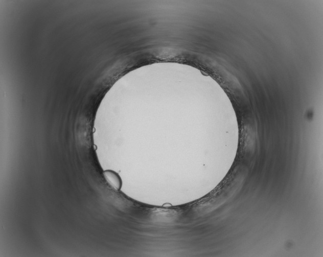 X0000116840234201001151254