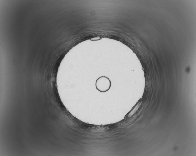 X0000116840235201001151254