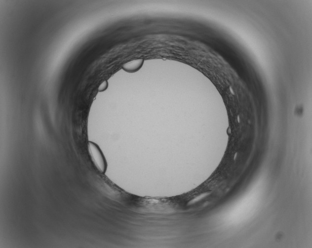 X0000116840239201001151253