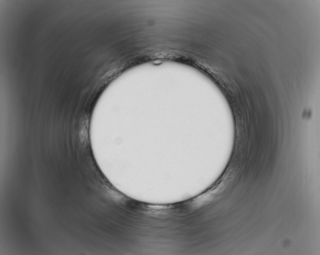 X0000116840240201001151253