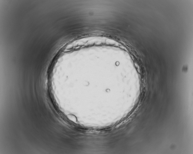 X0000116840242201001151253