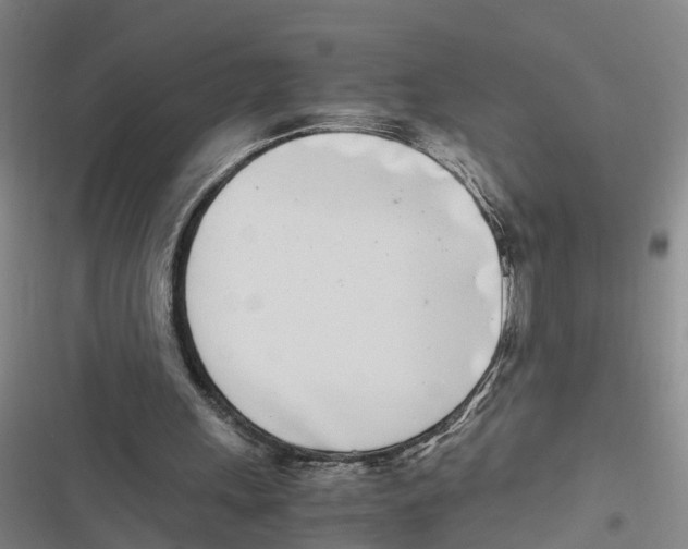 X0000116840243201001151253
