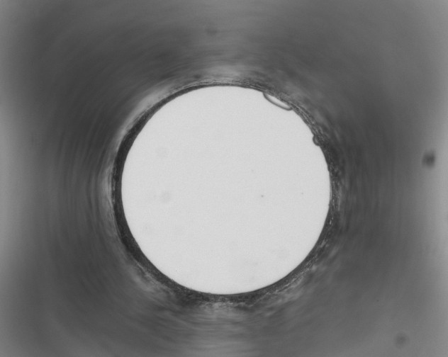 X0000116840244201001151253