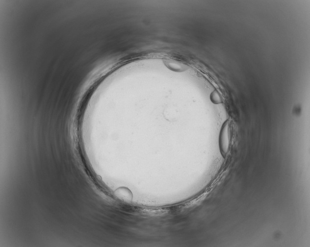 X0000116840245201001151253