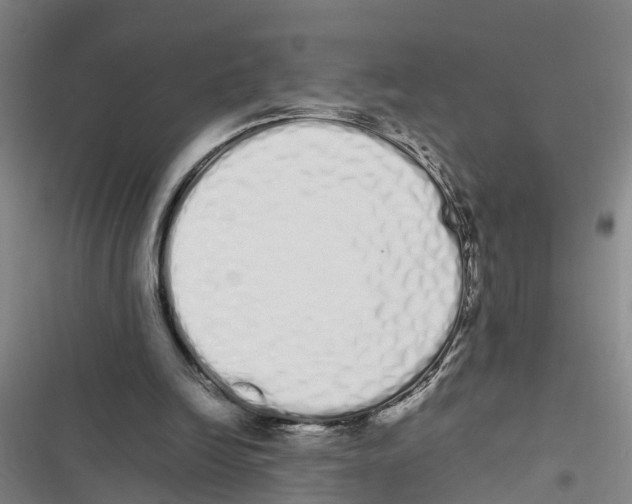X0000116840246201001151253